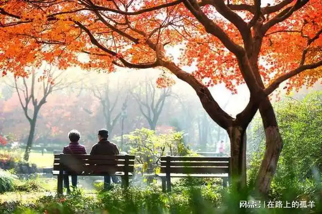 夕阳红老年旅游专列都是纯玩团吗?