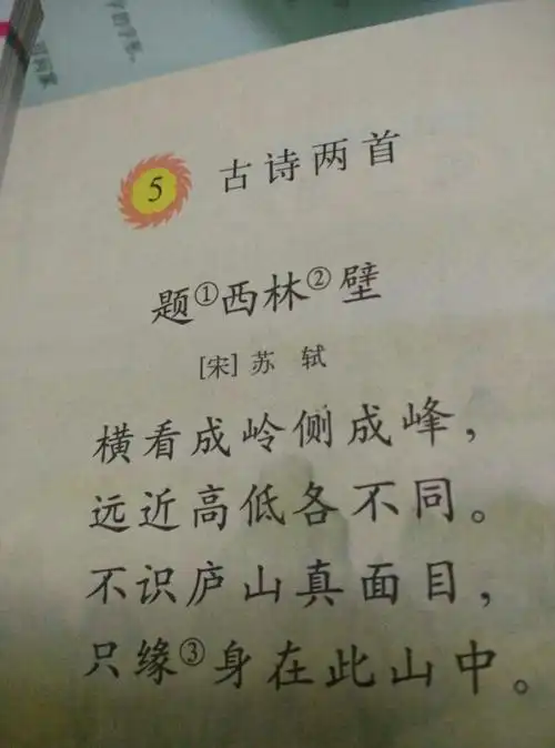 这四句诗的意思怎么写