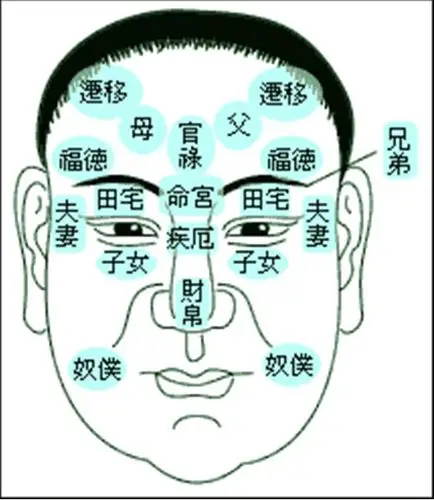 面相十二宫及作用