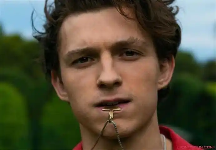 荷兰弟奥斯卡评委详细情况披露荷兰弟原名及个人资料