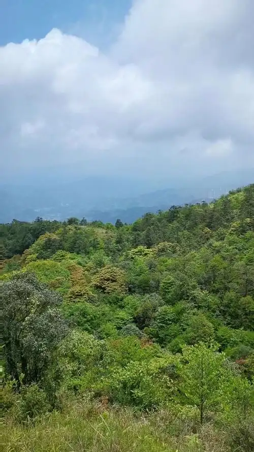 鸡笼顶山风景