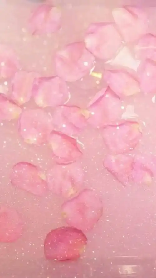 700_1242竖版 竖屏