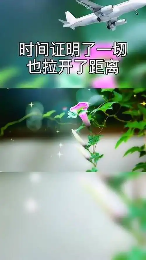 时间暴露了谎言看透了人心