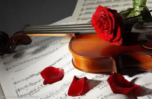 设计图库 文化艺术 舞蹈音乐 关键词:小提琴和玫瑰花 小提琴 乐谱