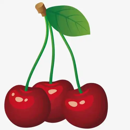 矢量成熟车厘子