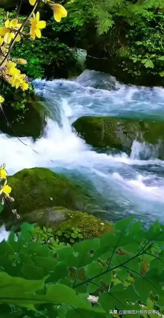 559_1081竖版 竖屏