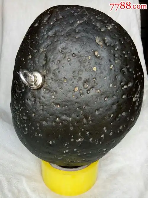 碳质陨石(中磁)