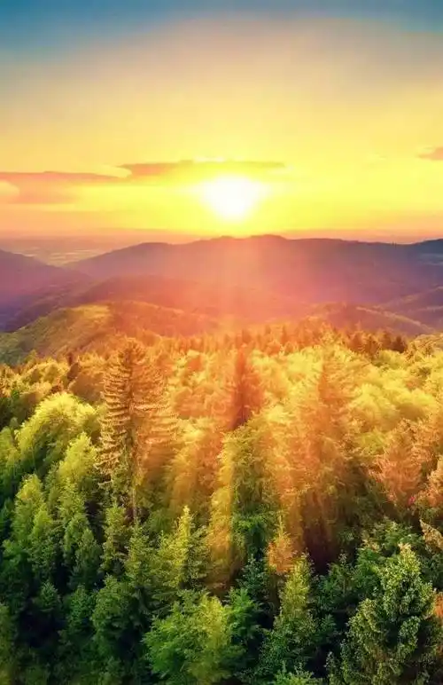 早晨的太阳图片