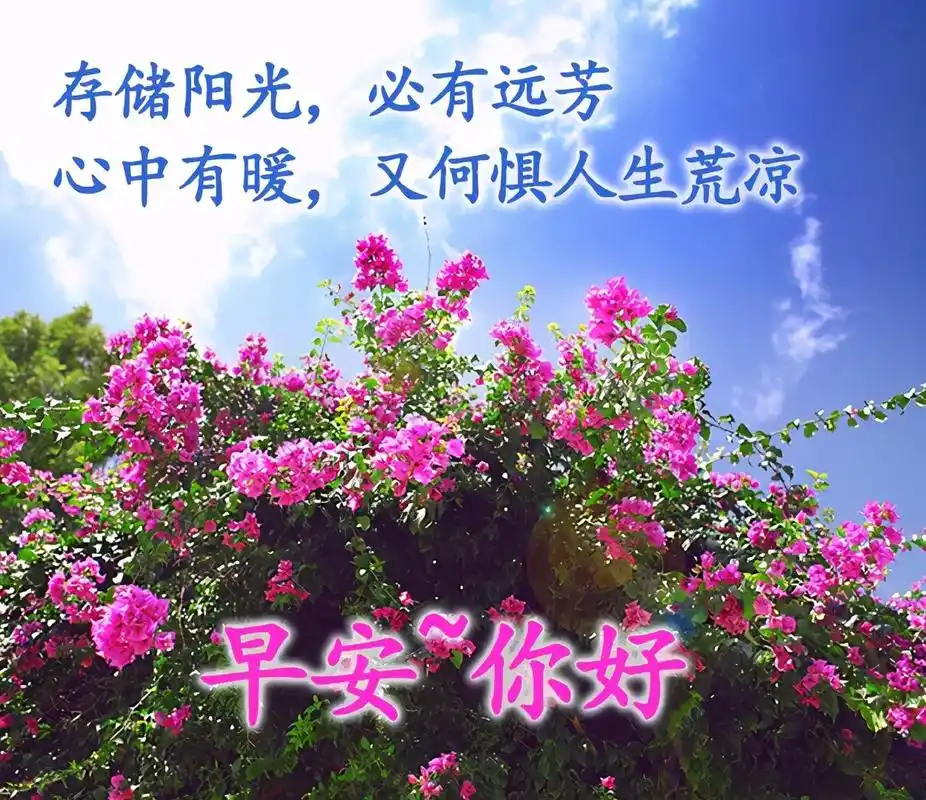 早上好唯美图片朋友圈早安精致短句特别漂亮的早上好动态图