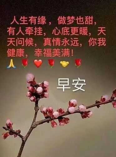 想开便是晴天释怀才能心安早安