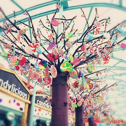 「世界就像棵糖果树,跳起来,才采得到」