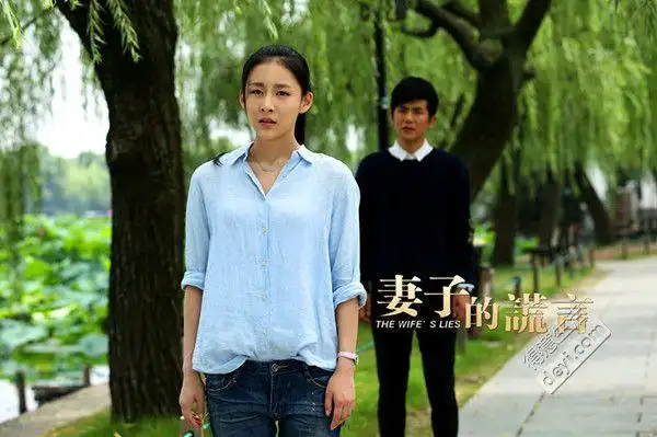 《妻子的谎言》电视剧引热议