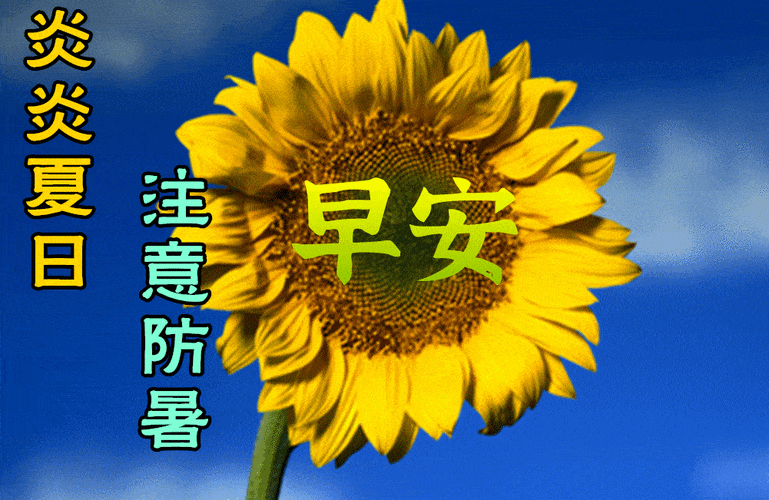 7张夏日最美早上好动态图片表情带字和鲜花,创意好看的夏日早安问候