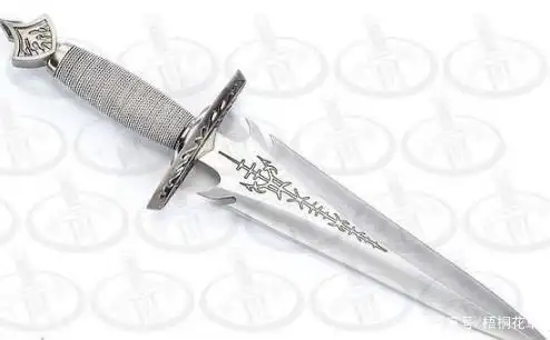 十二星座专属匕首处女座的好想要狮子座的太霸气了