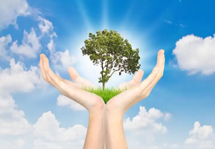 蓝色天空下一双手托举一颗树牵着树的手