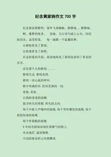 纪念黄家驹作文700字