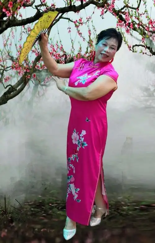 上林老年旗袍秀