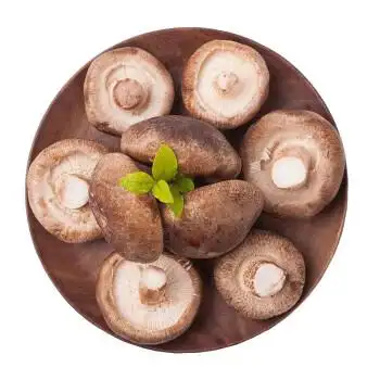 西峡湿香菇 鲜香菇 新鲜香菇 3斤装