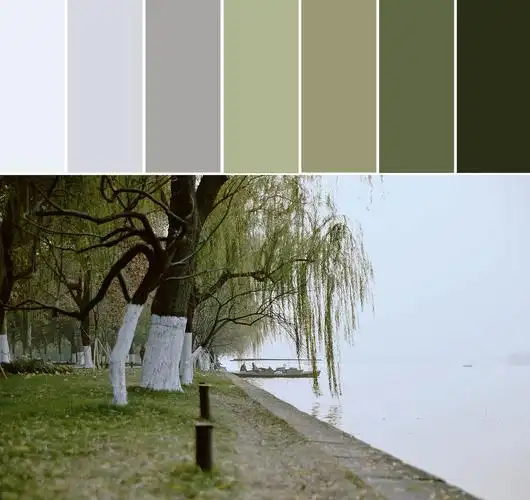 【拾一缕色,慰一季阳光】----莫兰迪色系色卡|摄影|产品摄影|瞌睡蜜蜂