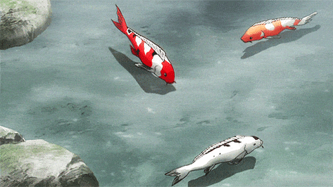 本文来源鱼旺,仅供欣赏,如有涉权,请联系删除.