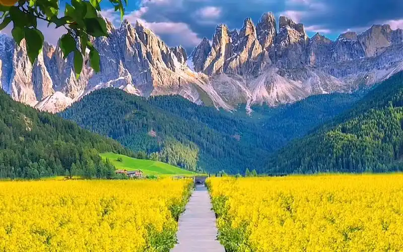 唯美意境 #治愈系风景