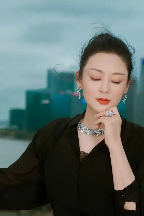 陈红出席博纳之夜活动时拍摄的一组照片什么水平zt