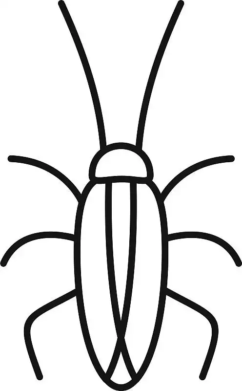 蟑螂昆虫图标轮廓风格图片