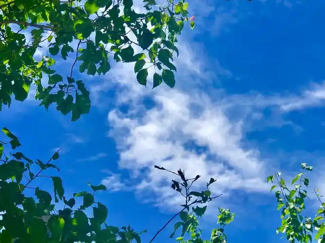 蓝天白云艳阳天