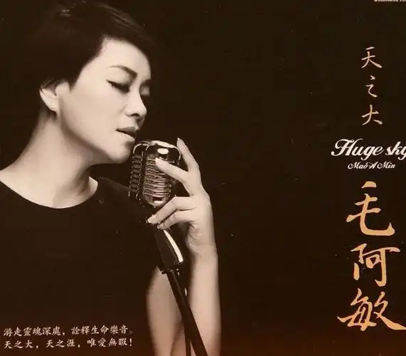 天之大是谁唱的