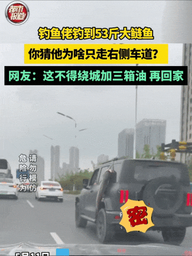 市一男子捕获一条53斤重的巨型鲢鱼和一条鳙鱼,将它们绑在汽车后座上