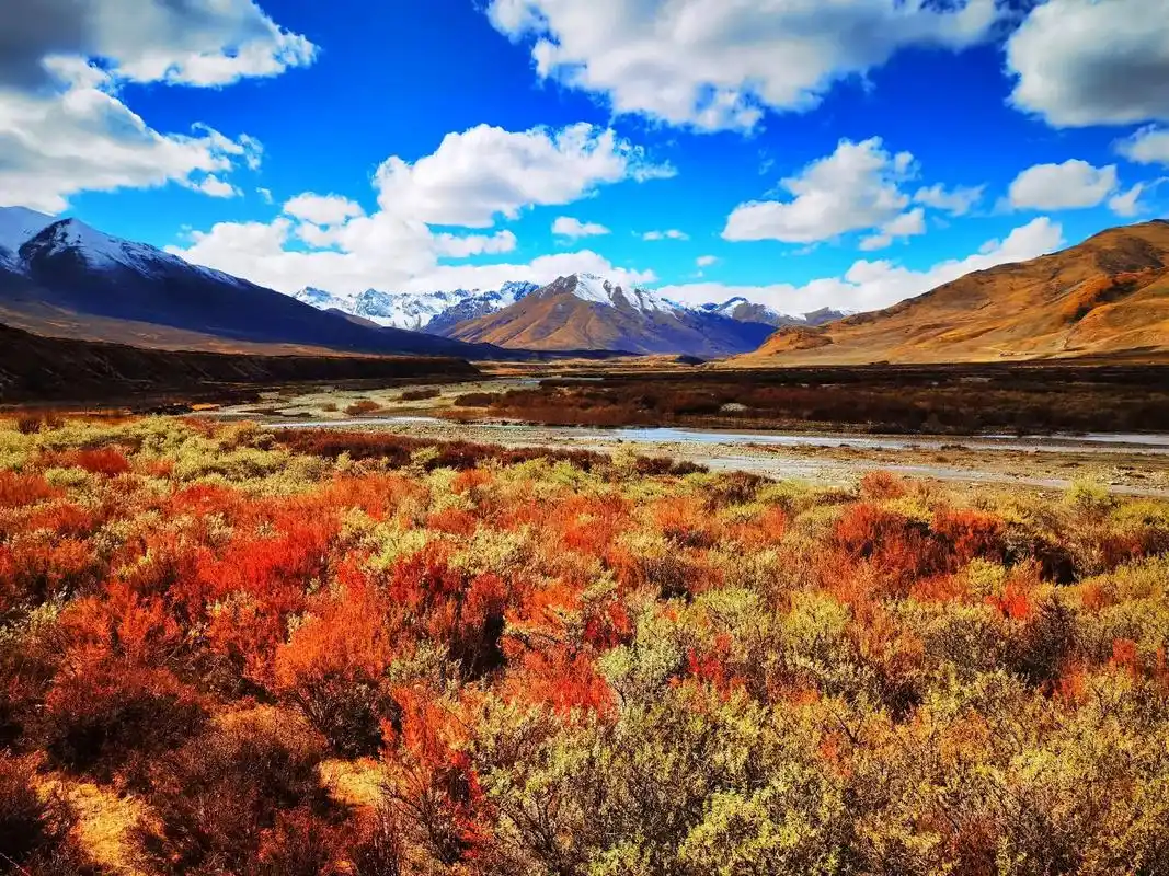 深秋高原的美景 大美青海醉美果洛180集#手机摄影 #风景如 - 抖音