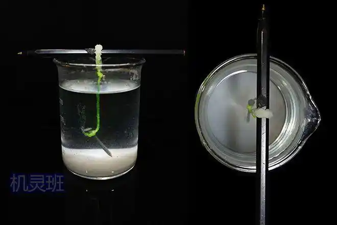 在家能做的科学小实验:盐水蒸发析出盐晶体(步骤图解)
