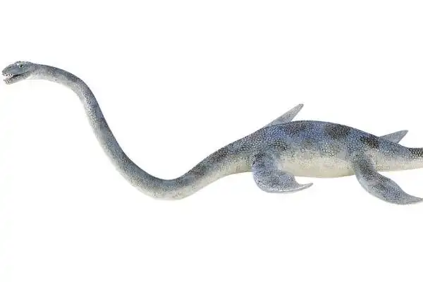 蛇颈龙侏罗纪的海洋之王长36米颈椎骨多达71节