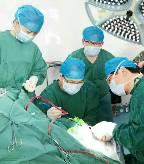 part  3    心肺复苏术(cardio pulmonary resuscitation)简称cpr指当