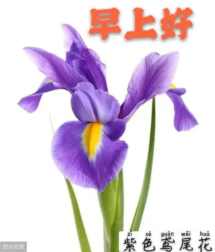 大家早上好图片 - 美篇