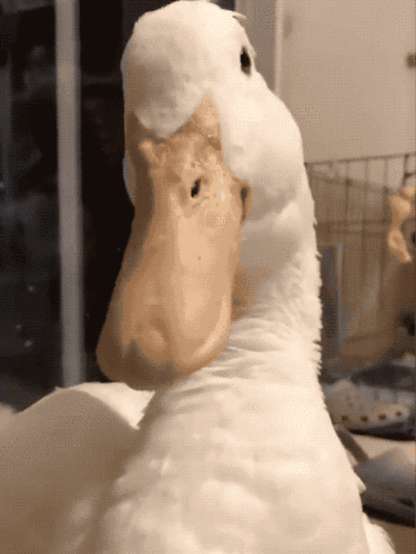 我看你们今儿是想坟头长草了特别声明:以上内容(如有图片或视频亦包括