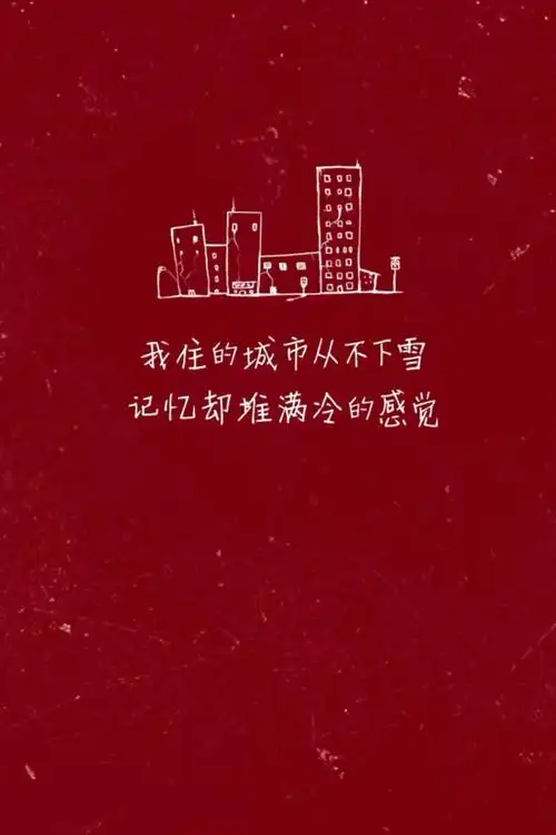 我住的城市从不下雪 记忆却堆满冷的感觉