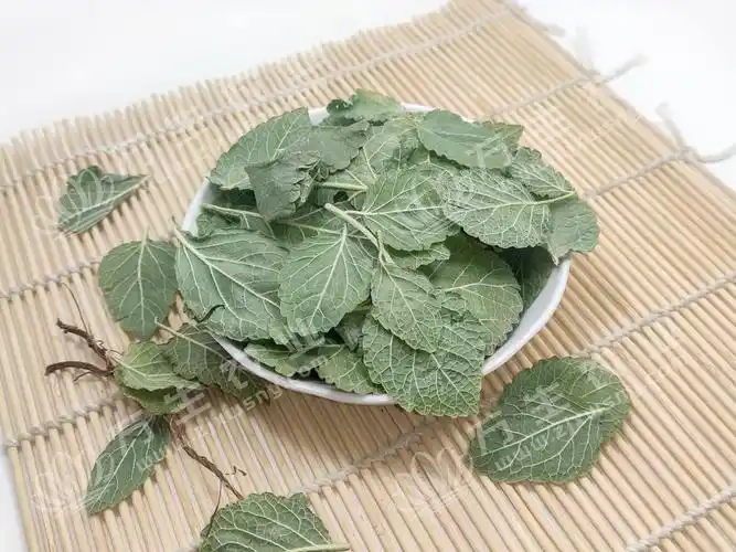 丹参|白芍|当归|中江丹参|万生农业|中江县万生农业科技有限责任公司