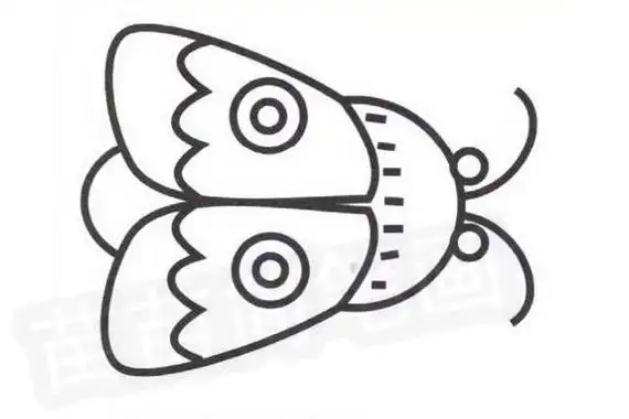 可爱的蚕蛾的简笔画