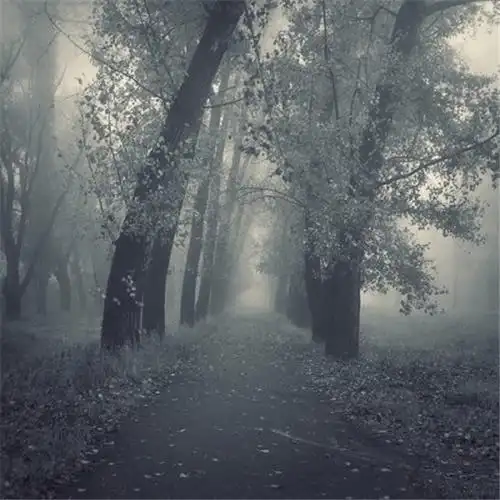 凄凉的图片 何处话凄凉(2)_唯美图片