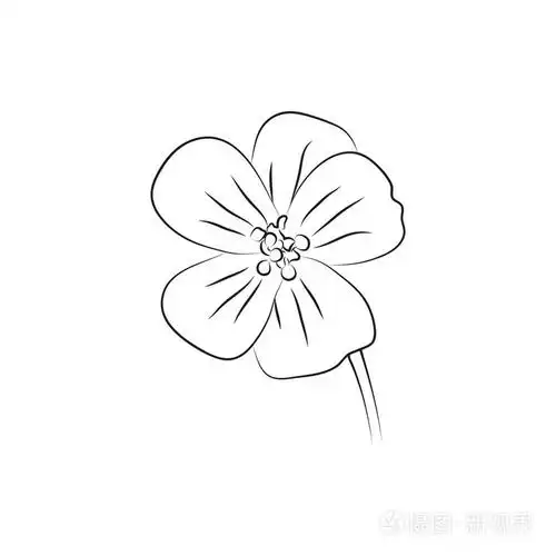 天竺葵花简单的黑色内衬图标白色背景插画-正版商用图片1pjbqo-摄图新