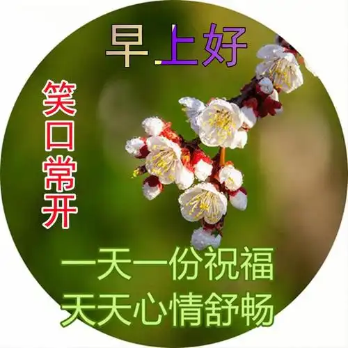 微信群发朋友早上好祝福短信 4月份早安问好图片带字带祝福语