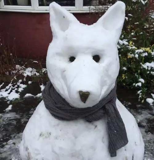 逗比搞笑的▼看到上面的雪人造型,是不是觉得颍上小伙伴们特别有才呢!