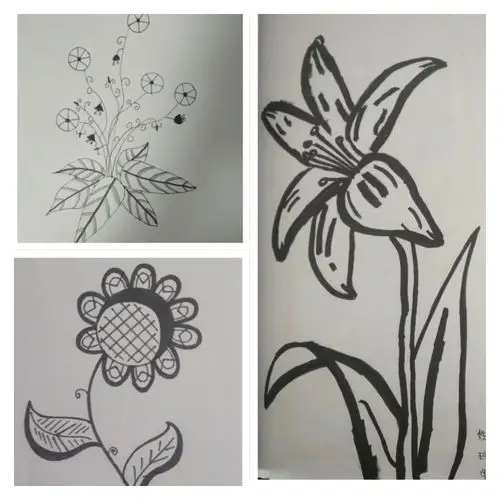 以画战疫"——古城中学初一级部美术课《扮靓生活的花卉纹样》优秀