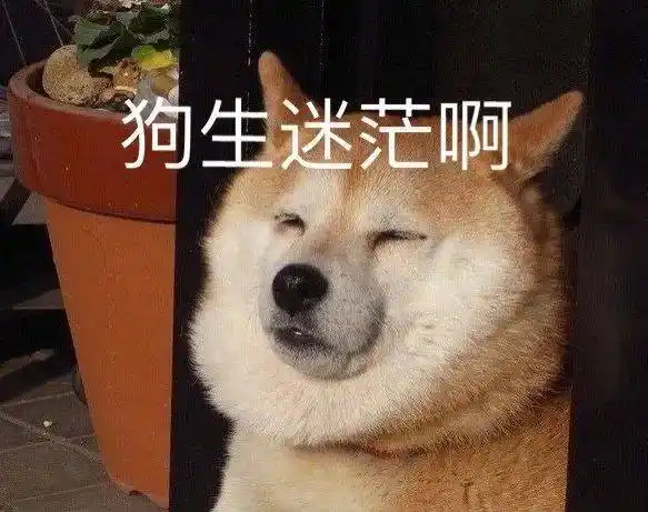 有人伍嘉成谷嘉诚分不清有人分不清张彬彬谢彬彬吗