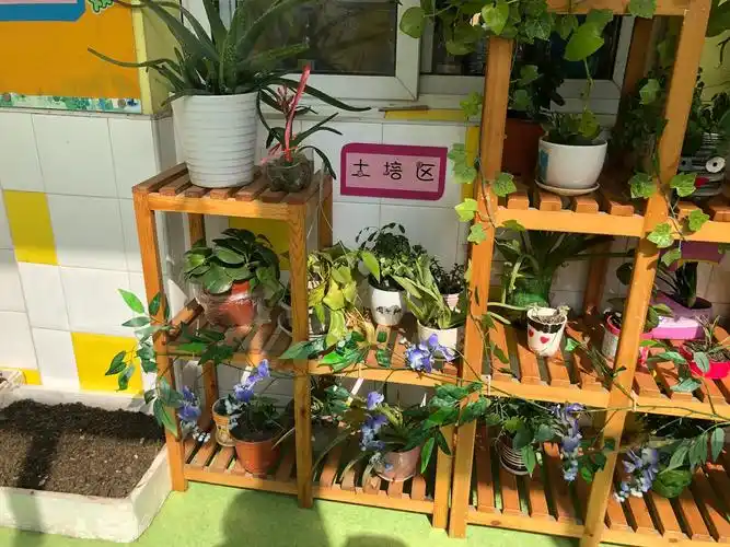 其它 【纯美四幼】拥抱春天小四班主题环创 写美篇幼儿园环境是幼儿