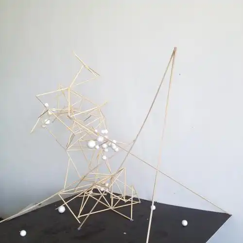 空间立体构成----生长