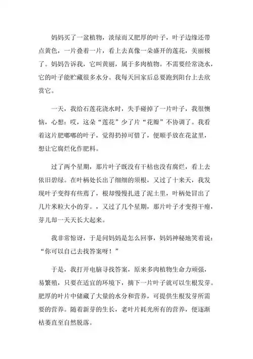 多肉植物的秘密作文