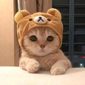 兔兔那么可爱的主页 - 抖音