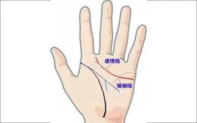 揭秘手上有三条婚姻线代表什么
